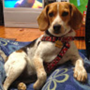 Meet your Posher, Carrie